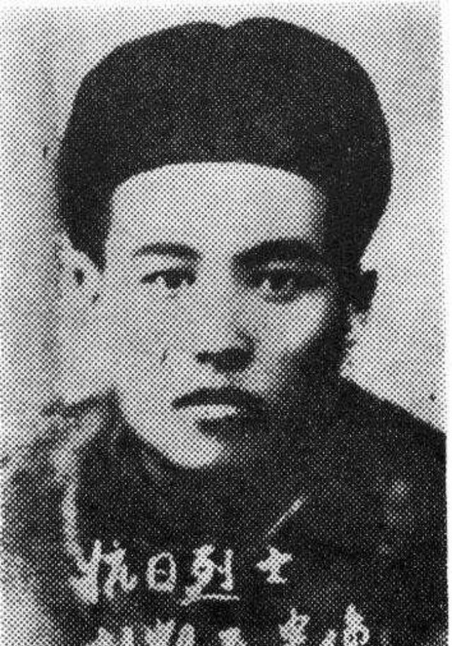 陆凯生平