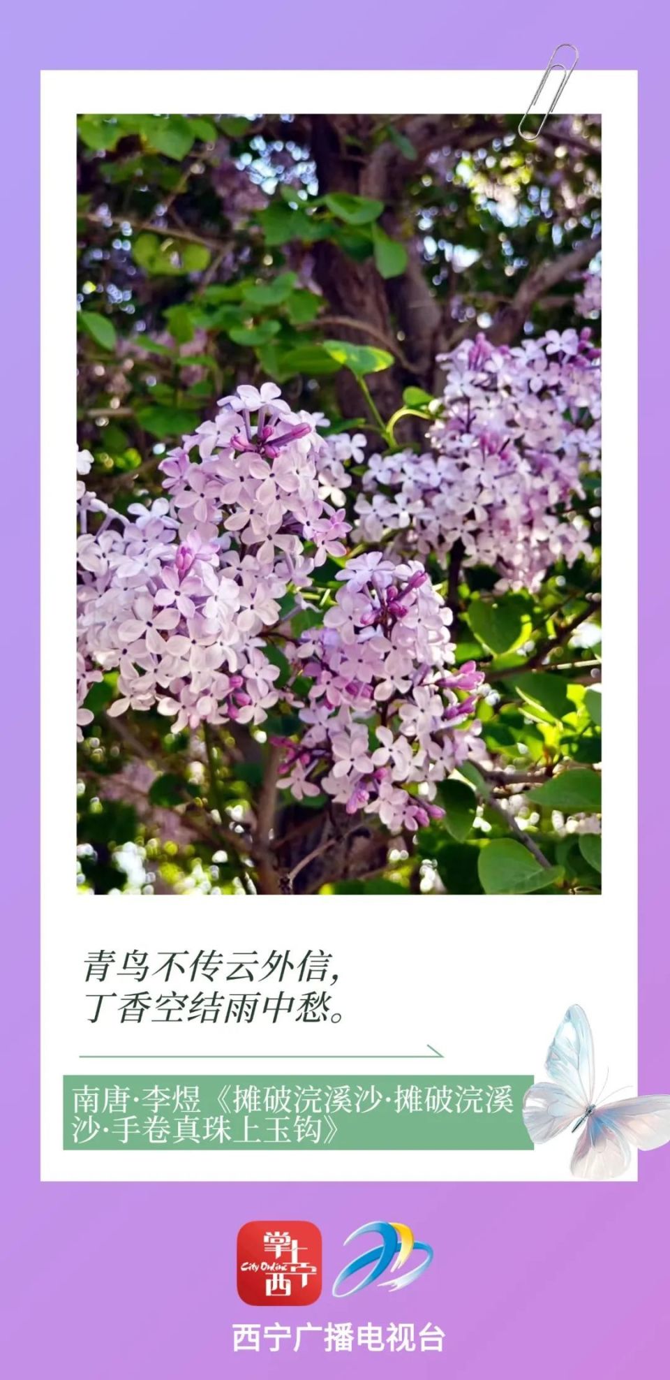 资讯 第26页