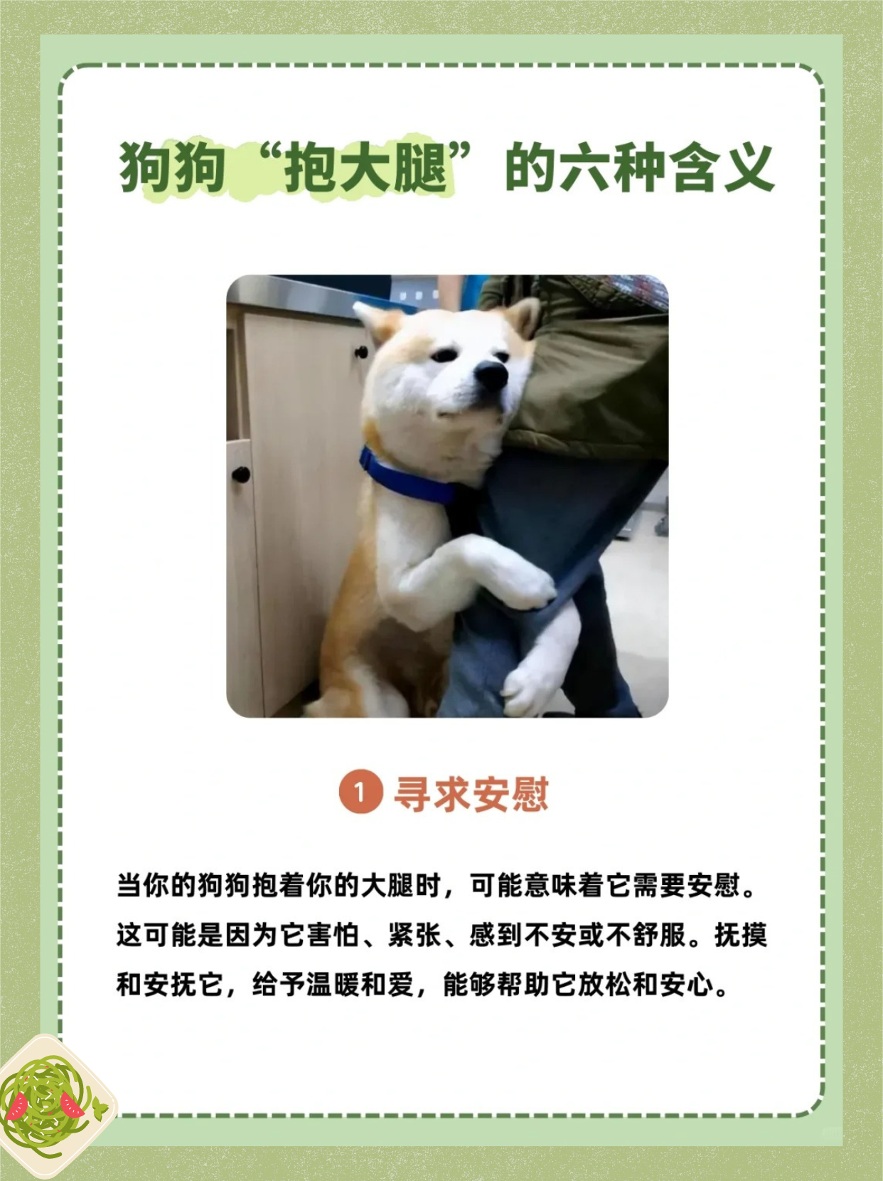 耍流氓的解释是什么