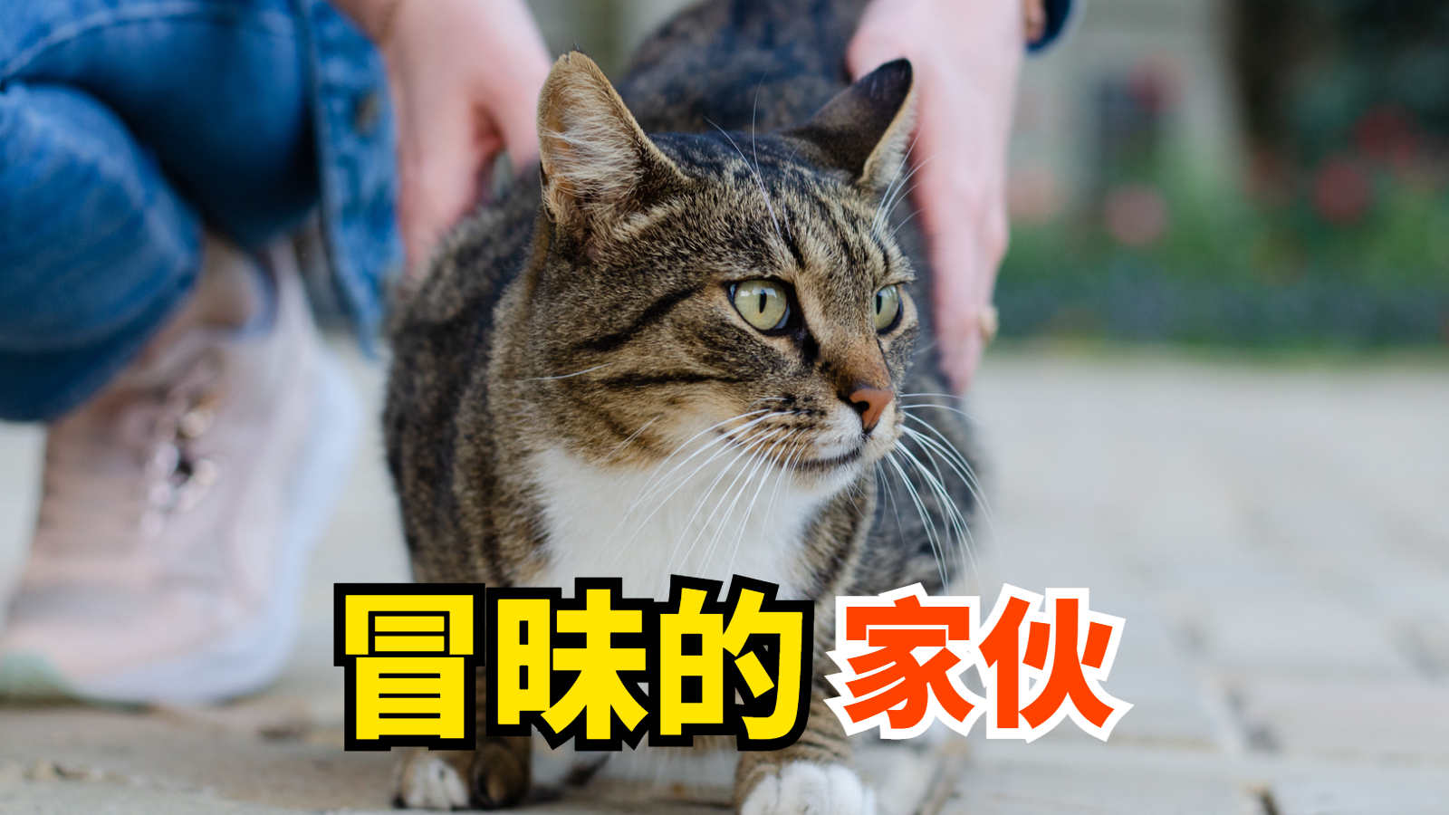 资讯 第23页
