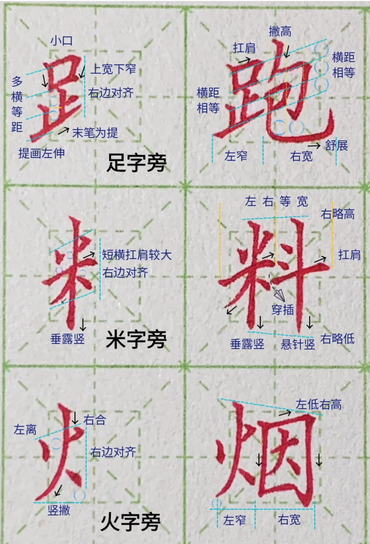 骨的偏旁部首